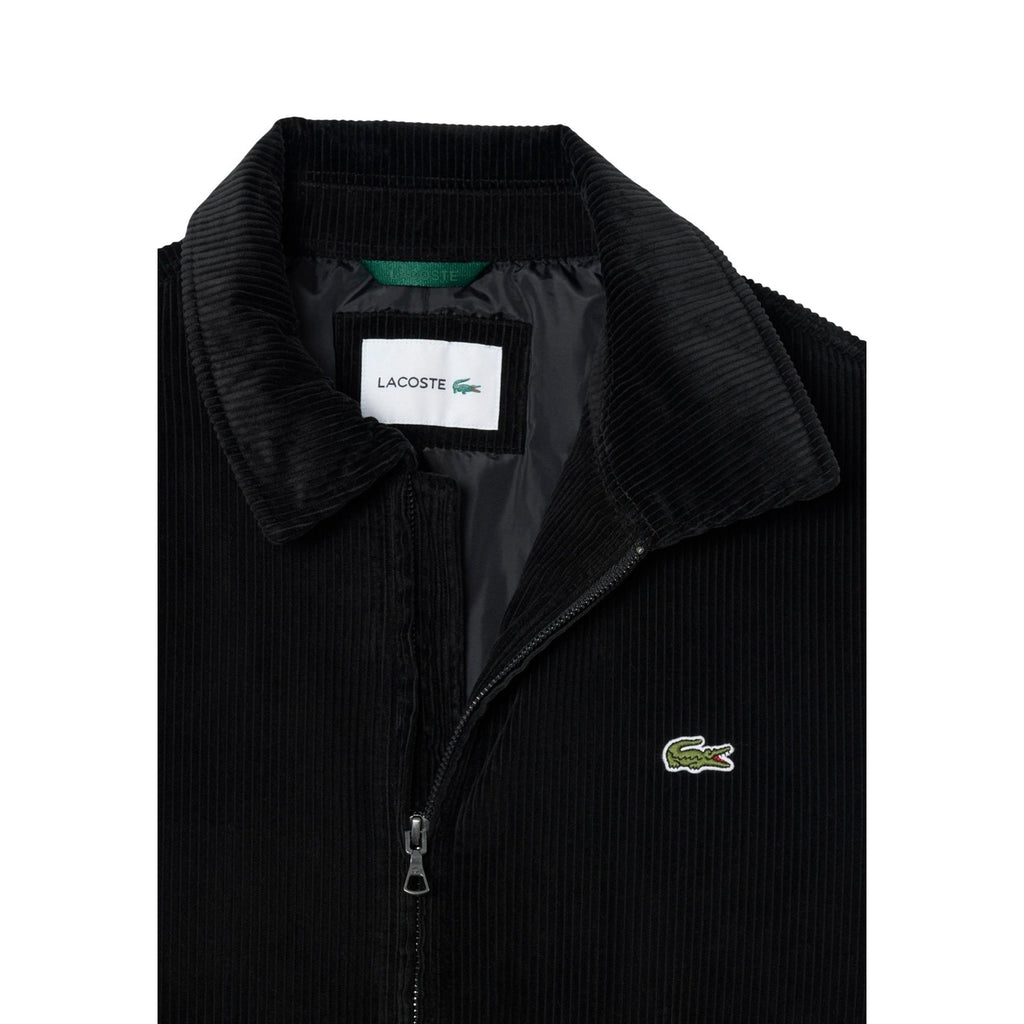 Lacoste Giacca Uomo